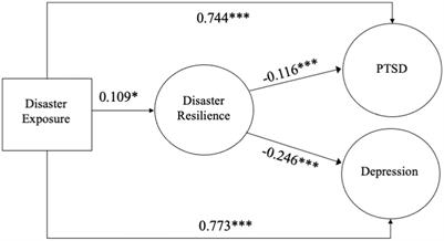 Post-traumatic stress and depression following disaster: examining the mediating role of disaster resilience